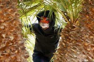 Original 2495 px/ 1663 px