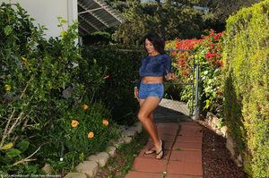 Original 1536 px/ 1020 px