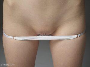 Original 12795 px/ 9595 px