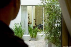 Original 2495 px/ 1663 px