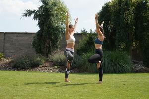 Original 7952 px/ 5304 px