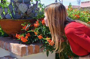 Original 1280 px/ 852 px