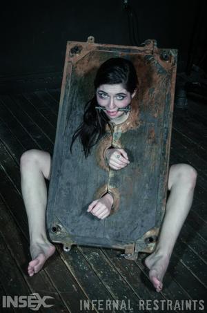 Original 795 px/ 1200 px