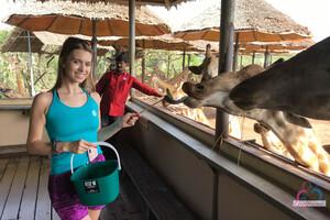 Original 3000 px/ 2000 px