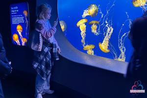 Original 5000 px/ 3333 px