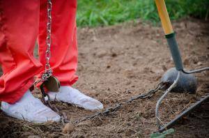 Original 1200 px/ 795 px