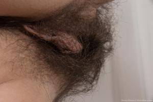 Original 1280 px/ 854 px