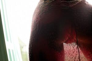 Original 3000 px/ 2000 px