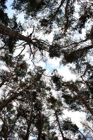 Original 3744 px/ 5616 px