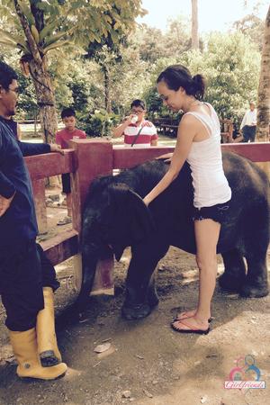 Original 2000 px/ 3000 px