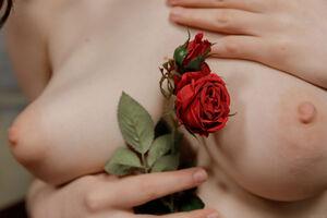 Original 6720 px/ 4480 px