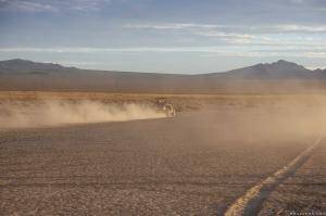 Original 2495 px/ 1663 px