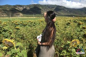 Original 3000 px/ 2000 px