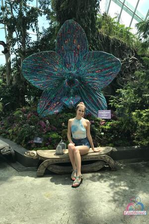 Original 2000 px/ 3000 px