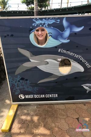 Original 2000 px/ 3000 px