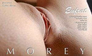 Original 3000 px/ 1823 px