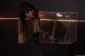 Original 2495 px/ 1663 px