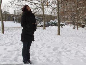 Original 1024 px/ 768 px