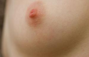 Original 1600 px/ 1025 px