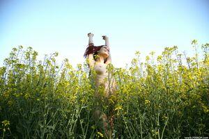 Original 4000 px/ 2667 px