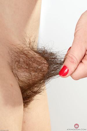 Original 2000 px/ 3000 px