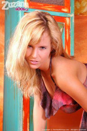 Original 684 px/ 1030 px