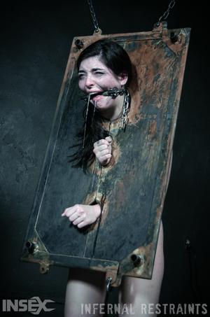 Original 795 px/ 1200 px