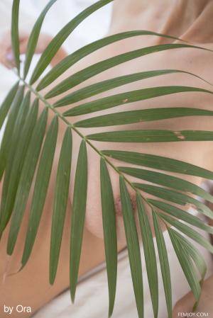 Original 3334 px/ 5000 px