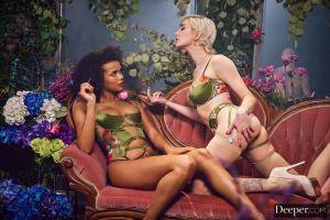 Original 2999 px/ 2000 px