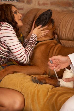 Original 765 px/ 1152 px