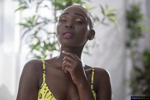 Original 2160 px/ 1441 px