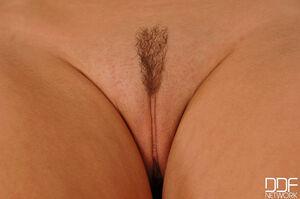 Original 2000 px/ 1328 px