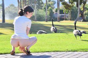 Original 1280 px/ 852 px