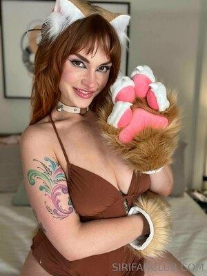 Original 959 px/ 1280 px