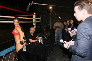 Original 2495 px/ 1663 px