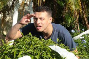 Original 2495 px/ 1663 px