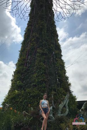 Original 2000 px/ 3000 px