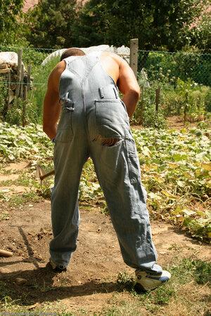 Original 1024 px/ 1536 px