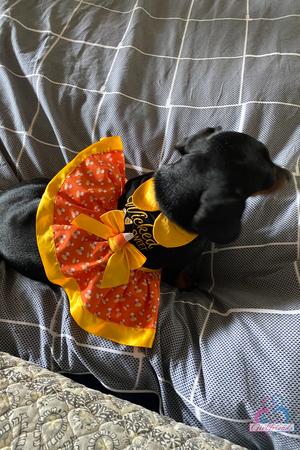 Original 2000 px/ 3000 px