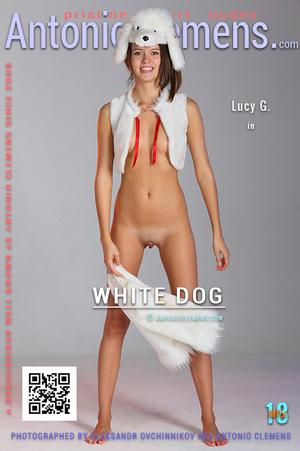#AClemens - Lucy G - White Dog