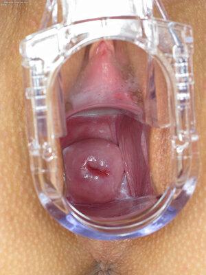 Original 1800 px/ 2400 px