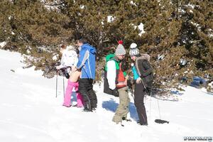 Original 1600 px/ 1067 px