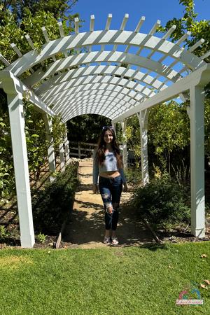 Original 2000 px/ 3000 px