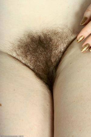 Original 1024 px/ 1536 px