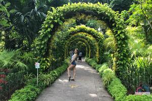 Original 3000 px/ 2000 px