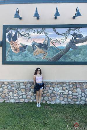 Original 2000 px/ 3000 px