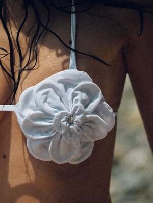 Original 640 px/ 849 px