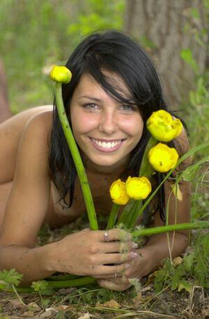 Original 1181 px/ 1800 px