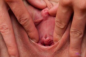 Original 3000 px/ 2000 px