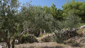 Original 1024 px/ 576 px